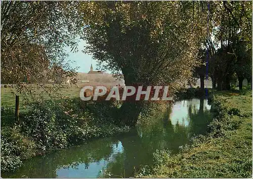 Cartes postales moderne Nesles la Vallee (Val d'Oise) Le Sausseron