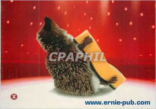 Cartes postales moderne Spontex Nouvelle Texture Grattante Mechamment efficace ernie-pub.com Herrisson
