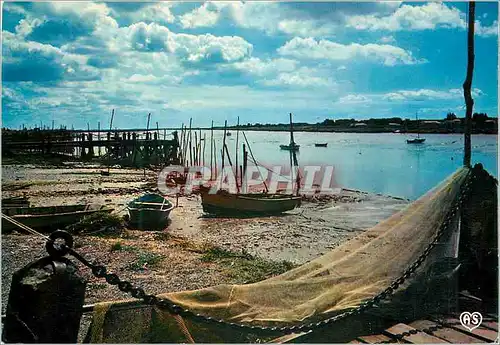 Cartes postales moderne L'Aiguillon sur Mer (Vendee) Contre Jour sur le Port Bateaux