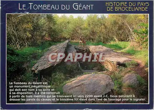 Cartes postales moderne Histoire du Pays de Broceliande Couleurs de Bretagne Le Tombeau du Geant