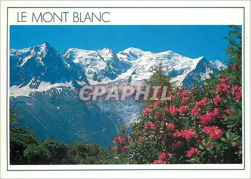 Cartes postales moderne Le Massif de Mont Blanc L'Aiguille du Midi Le Mont Blanc du Tacul Le Mont Maudit Le Dome et l'Ai