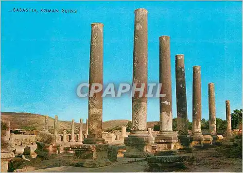 Cartes postales moderne Sebastia La Basilique (Romaine)