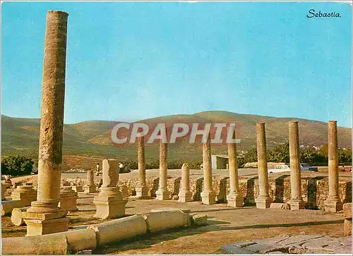 Cartes postales moderne Sebastia La Basilique (Romaine)
