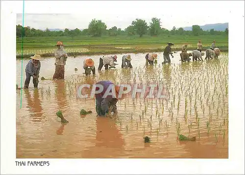 Moderne Karte Thai Farmers Farmering is Plantation rice in Soil Agriculture is the main Occupation