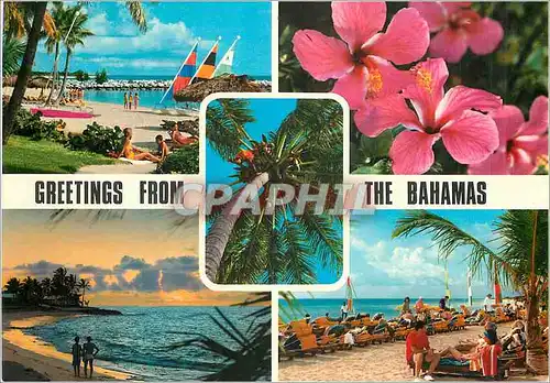 Cartes postales moderne The Bahamas Islands Stretch in a Unbroken Chain from the Florida keys in the North to the Island
