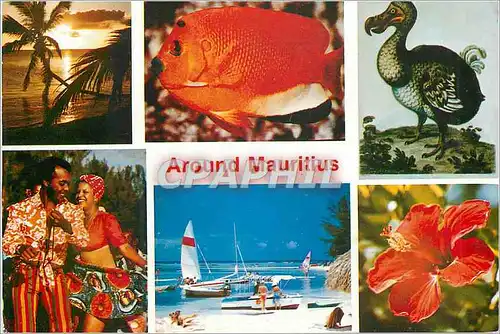 Cartes postales moderne Ile Maurice Around Mauritius