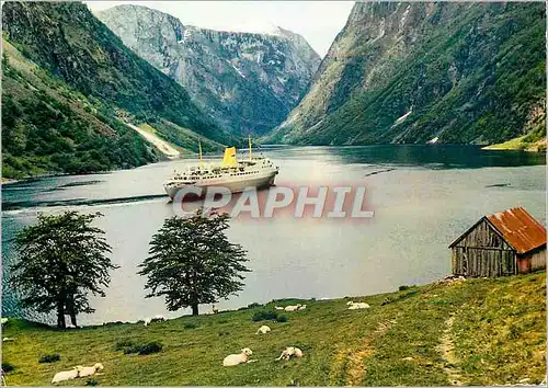 Moderne Karte Naeroyfjorden Bateau