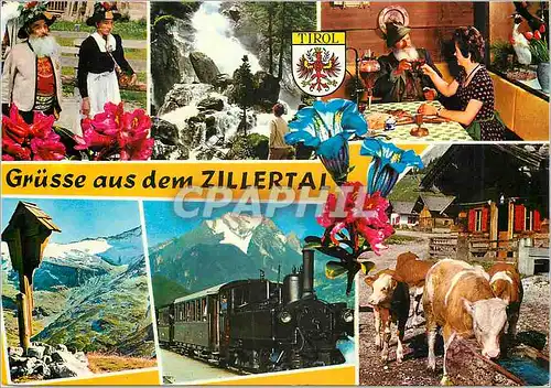 Moderne Karte Grusse aus dem Zillertal Train Vaches Folklore