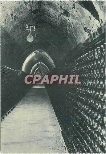 Cartes postales moderne Reims Champagne Pommery et Greno Une Galerie de Vins sur Lattes