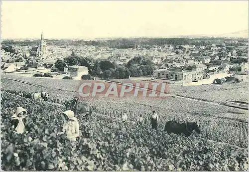 Moderne Karte Reims Champagne Pommery et Greno Ay Vue Generale Premier Cru de Raisins noirs