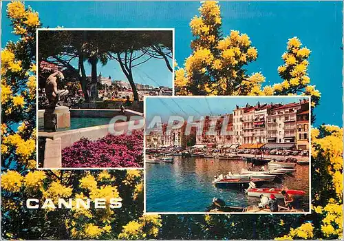 Moderne Karte Cannes (A M) La Cote d'Azur Jardin de la Croisette Le Quai Saint Pierre Bateaux