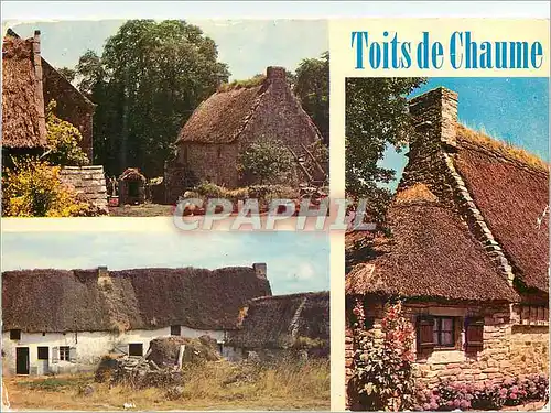Cartes postales moderne Couleurs de Bretagne Vieilles Chaumieres Toits de chaume
