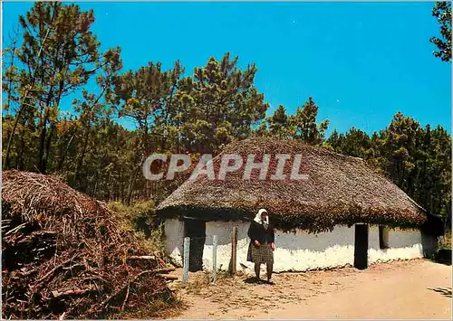 Cartes postales moderne En Vendee une Bourrine