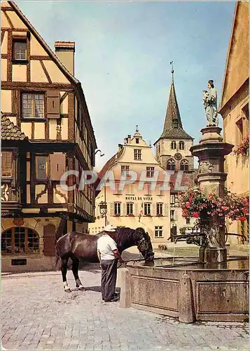 Cartes postales moderne Turckheim (Haut Rhin) La Fontaine Ste Anne (XIIIe S) Cheval
