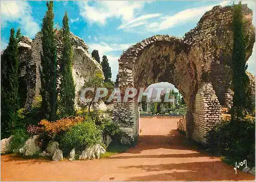 Cartes postales moderne Nice (Alpes Maritimes) La Cote d'Azur Miracle de la Nature Couleurs et Lumiere de France