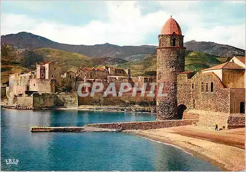 Cartes postales moderne Collioure (Pyrenees Orientales) Joyau de la Cote Vermeille L'Eglise et le Chateau des Templiers