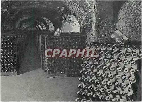 Cartes postales moderne Epernay Moet et Chandon Maison fondee en 1743 Galerie de Vins sur Putitres durant le Remuage