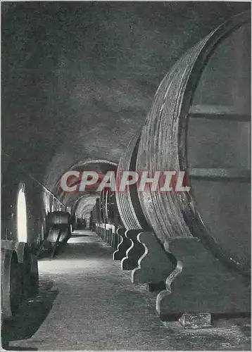 Cartes postales moderne Epernay Moet et Chandon Maison fondee en 1743 Galerie de Vins de Reserve