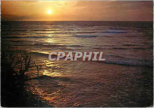 Cartes postales moderne Cote Atlantique Coucher de Soleil