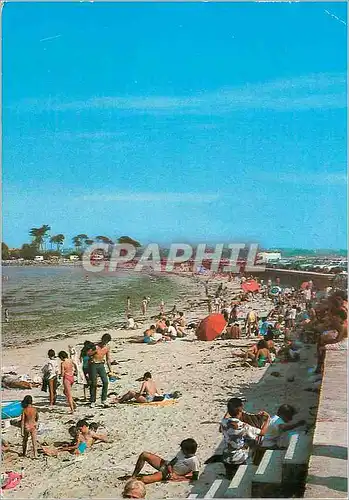 Cartes postales moderne St Pol de Leon (Finistere) La Plage Ste Anne