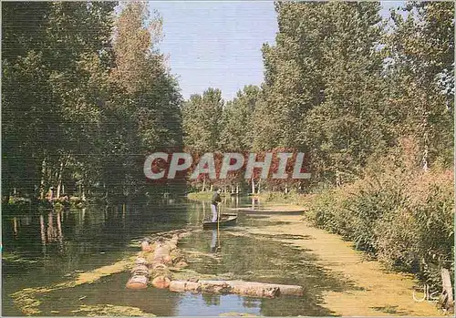 Cartes postales moderne Deux Sevres Collection Le Marais Poitevin