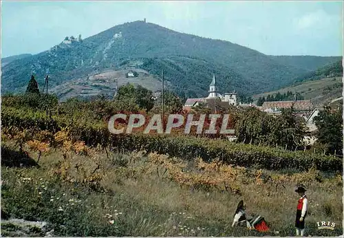 Cartes postales moderne Ribeauville L'Alsace Pittoresque Vue sur les Chateaux Saint Ulrich