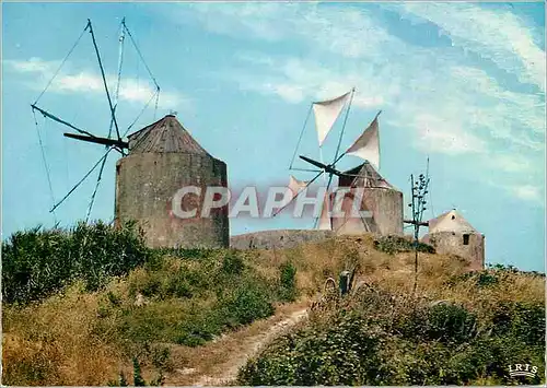 Cartes postales moderne Moinhos de Vento