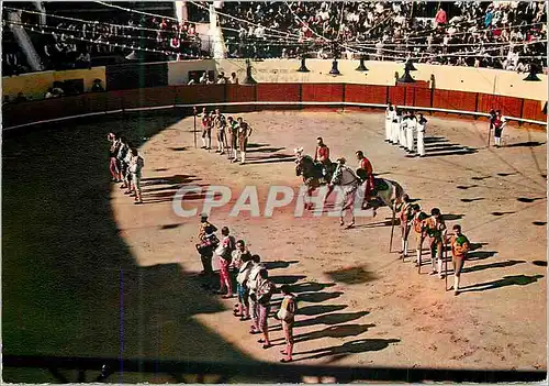 Cartes postales moderne Portugal Vila Franca de Xira Courses de Taureaux Portugaises (Cortezias) Corrida