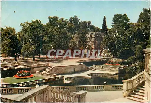Cartes postales moderne Nimes (Gard) Reflets de Provence Les Jardins de la Fontaine (XVIIIe Siecle) et le Temple de Dian