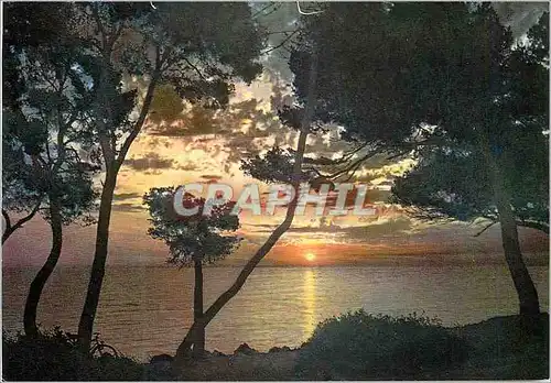 Cartes postales moderne Les Joyaux de la Mediterranee Un Jour qui se Leve