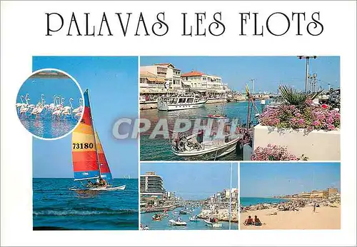 Moderne Karte Palavas les Flots (Herault) Bateaux