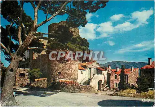 Cartes postales moderne Aux environs de Banyuls sur Mer (Pyrenees Orientales) la Cote Catalane le Mas Reig Haut Lieu du