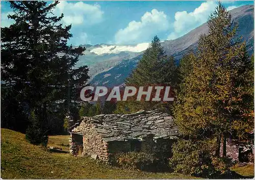 Cartes postales moderne Image de nos Montagnes en Ete Vieille Cabane de Berger et son Toit de Lozes