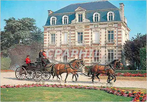 Cartes postales moderne Saint Lo (Manche) le Haras Attelage