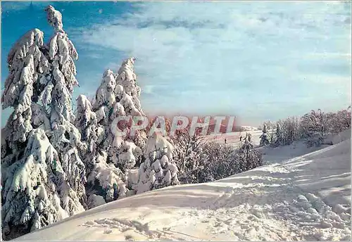 Moderne Karte Parure Hivernale Winterschmuck Snow Covered Mountain Tops