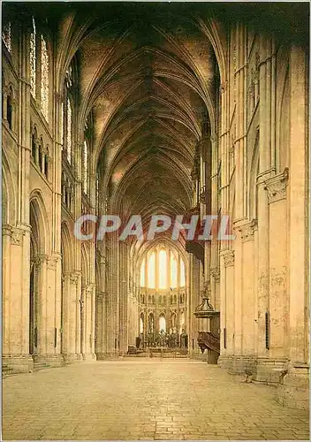 Cartes postales moderne Cathedrale de Chartres Nef (XIIIe siecle)