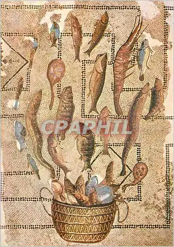 Cartes postales moderne Musee de Sousse Poissons s'Echappant d'un Panier Exposition de Carthage a Kairouan Paris 1982 83