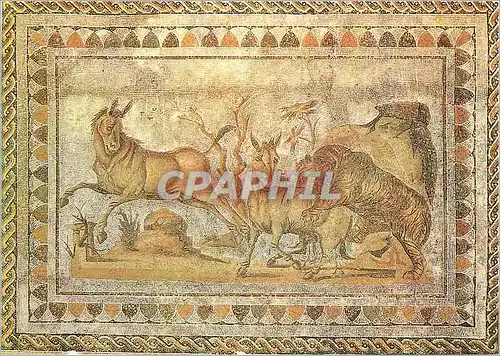 Cartes postales moderne Musee d'El Jem Onagres Assaillis par un Tigre Exposition de Carthage a Kairouan Paris 1982 83