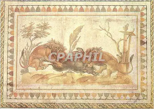 Cartes postales moderne Musee d'El Jem Lions Devorant un Sanglier Exposition de Carthage a Kairouan Paris 1982 83