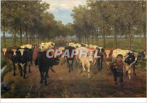 Cartes postales moderne Museum voor Schone Kunsten Gent Xavier de Cork 1818 1896 Meesstraat a Gand