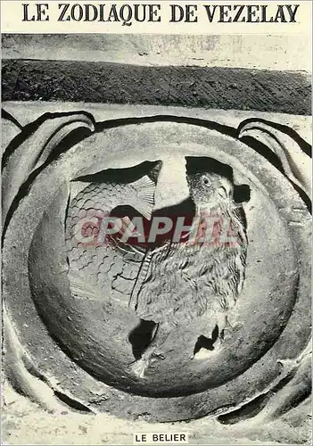 Cartes postales moderne Vezelay (Yonne) Basilique Sainte Madeleine (XIe et XIIe Siecle) Tympan Central Le Belier
