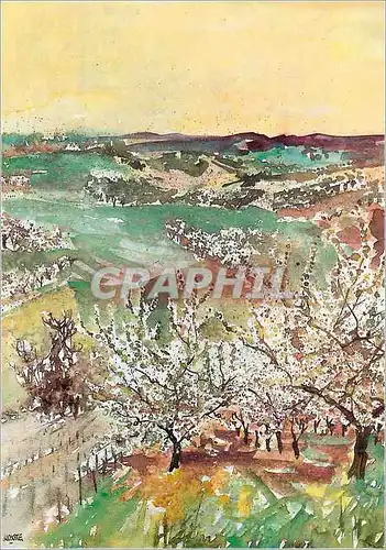 Cartes postales moderne St Bris le Vineux Bourgogne France Georges Hosotte (ne en 1936 Born 1936) Les Coteaux