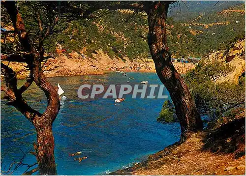 Cartes postales moderne Costa Brava Cola Pola