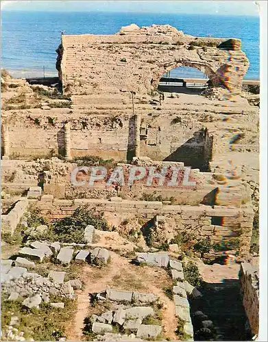 Cartes postales moderne Tarragona (Espana) Costa Dorada Un detail du Amphitheatre