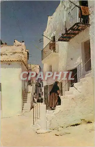 Cartes postales moderne Ibiza (Baleares) Rue Typique