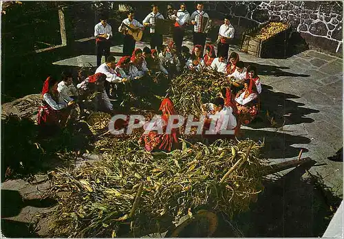 Cartes postales moderne Minho  Norte de Portugal Effenillagea Minho