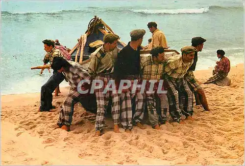 Cartes postales moderne Nazare (Portugal) La Besogne Commence