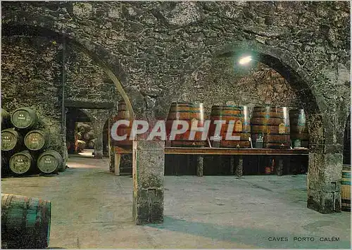 Cartes postales moderne Porto Les Caves Porto Calem