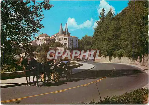 Cartes postales moderne Sintra (Portugal) Palais National