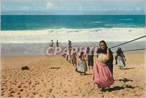 Cartes postales moderne Nazare (Portugal) Tirant les filets